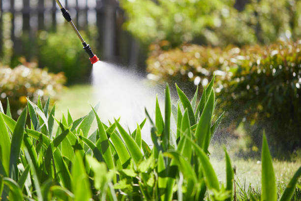 Tamper-Resistant Bait Stations for Rodents in Mission Viejo