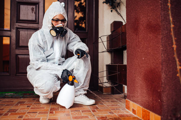 Attic and Crawl Space Rodent Treatment in Mission Viejo